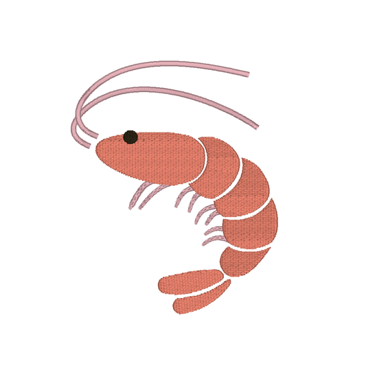 Segmented Charming Shrimp